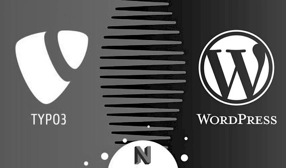 Vergleich von CMS-Systemen: Logos von TYPO3 und WordPress mit Neos als Alternative im Zentrum