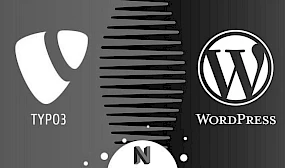 Vergleich von CMS-Systemen: Logos von TYPO3 und WordPress mit Neos als Alternative im Zentrum