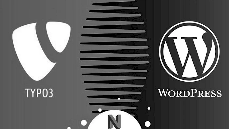 Vergleich von CMS-Systemen: Logos von TYPO3 und WordPress mit Neos als Alternative im Zentrum