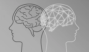 Illustration von zwei menschlichen Koepfen im Profil: Einer mit einem gezeichneten biologischen Gehirn, der andere mit einem vernetzten, digitalen Gehirn, symbolisierend den Kontrast zwischen menschlicher Intelligenz und kuenstlicher Intelligenz