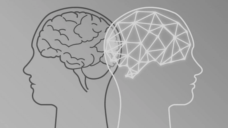 Illustration von zwei menschlichen Koepfen im Profil: Einer mit einem gezeichneten biologischen Gehirn, der andere mit einem vernetzten, digitalen Gehirn, symbolisierend den Kontrast zwischen menschlicher Intelligenz und kuenstlicher Intelligenz
