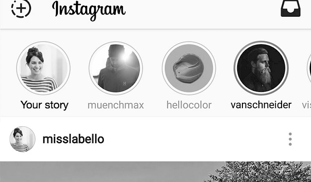 Screenshot einer Instagram-Oberflaeche mit Story-Icons und Profilen, einschließlich eigener Story und Stories von anderen Accounts