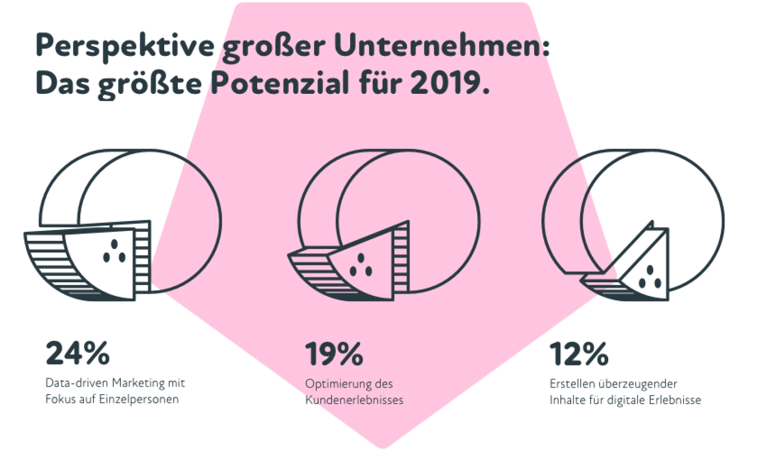 Grafische Darstellung: Geschaeftspotenziale großer Unternehmen 2019 – Data-driven Marketing (24%), Optimierung des Kundenerlebnisses (19%) und Erstellung digitaler Inhalte (12%)