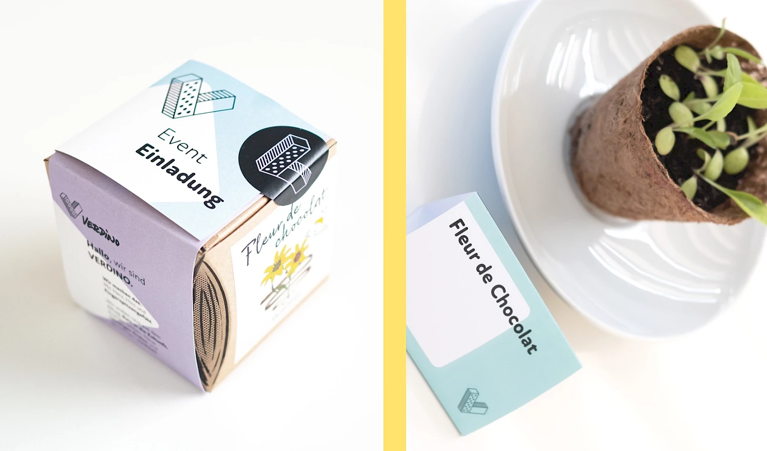 Event-Einladung mit Pflanzenzuchtset Fleur de Chocolat