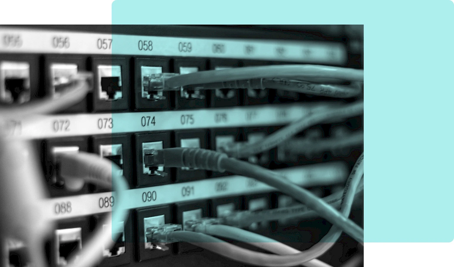Netzwerkserver mit mehreren eingesteckten Kabeln