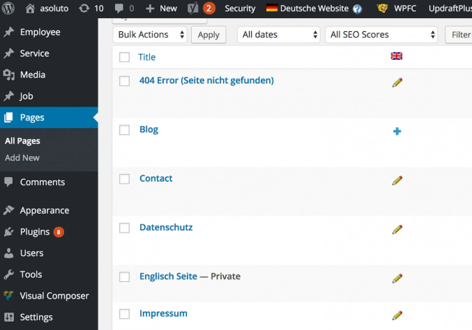 Screenshot des WordPress Interfaces: Verwaltung von Webseiteninhalten mit Menue für Seiten und Plugins